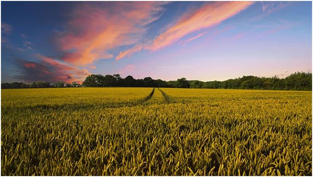 Agriculture - As covered in Union Budget 2019-20