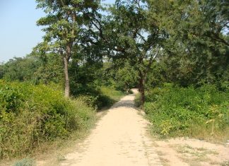 How Rural India Can Save The Spread Of COVID19 ? An Indian village approach road
