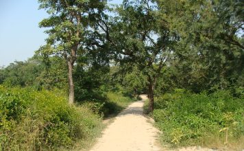How Rural India Can Save The Spread Of COVID19 ? An Indian village approach road