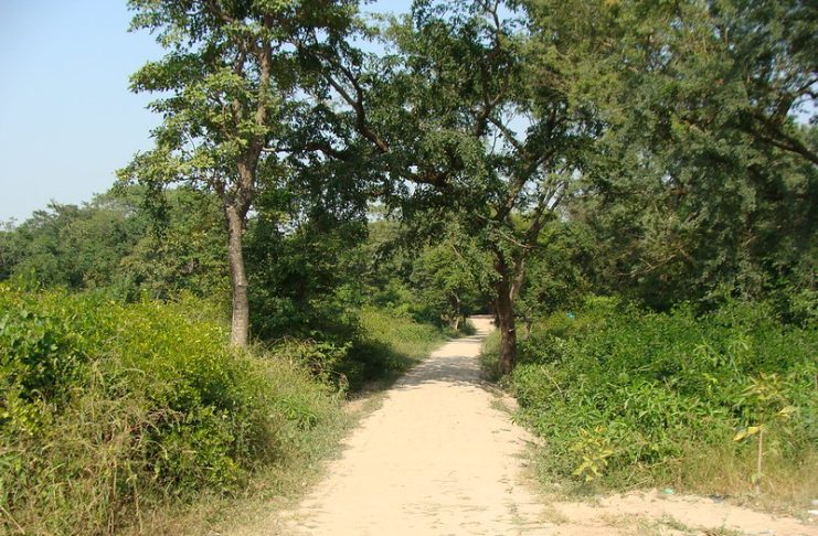 An Indian village approach road