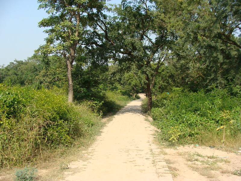 An Indian village approach road