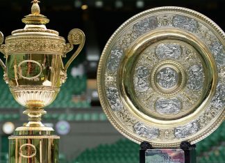 Will India Ever Produce A Grand Slam Singles Champion? Indian in Grand Slam