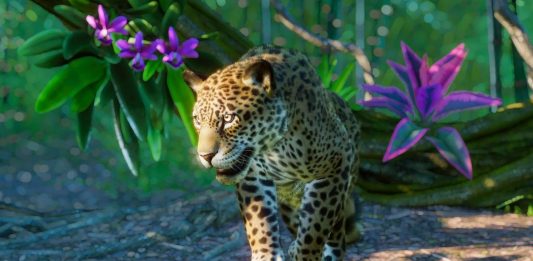 The Leopard Returns As Peacocks Dance & Bluebulls Roam The Streets Amid Corona Lockdown A Leopard