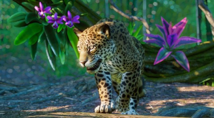 The Leopard Returns As Peacocks Dance & Bluebulls Roam The Streets Amid Corona Lockdown A Leopard