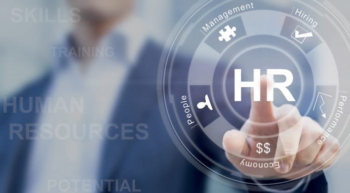 Tips To Build Your Career In The Human Resources Sector Career In Human Resources