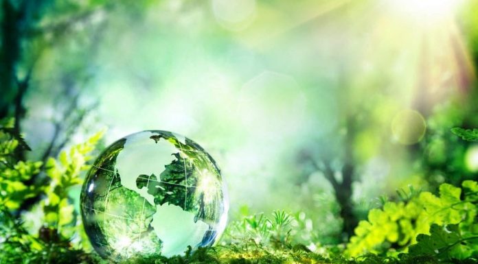 Time To Revive Our Interest In The Science Of Life Science Of Life