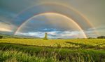 Work With Conviction To Protect Earth’s Environment | Earth Day Double Rainbows