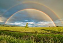 Work With Conviction To Protect Earth’s Environment | Earth Day Double Rainbows