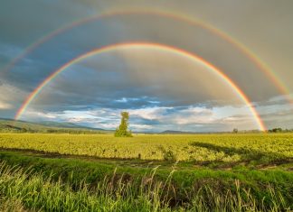 Work With Conviction To Protect Earth’s Environment | Earth Day Double Rainbows