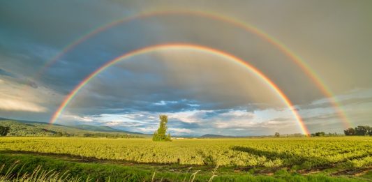 Double Rainbows