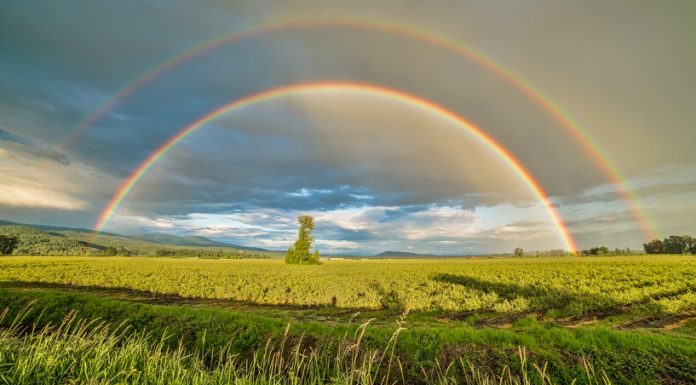 Work With Conviction To Protect Earth’s Environment | Earth Day Double Rainbows