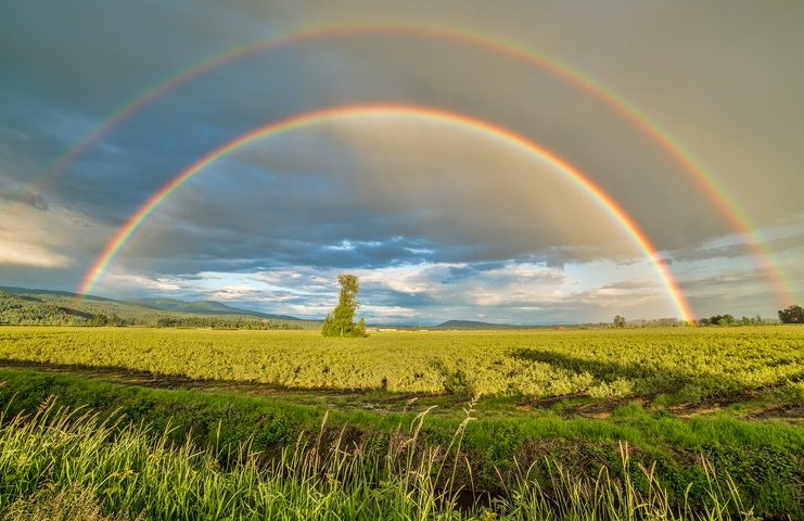 Double Rainbows