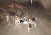 The Good Samaritans “Don’t Waste Food”, Hyderabad | Ser-GS.2 Don't Waste Food