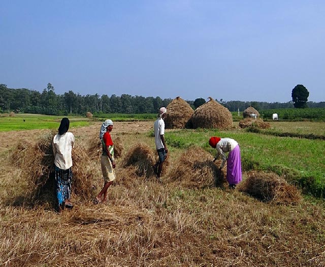 Farming in India - Developing New India