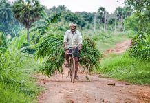 Show Goes On – Amity Conducts Webinar, Focuses On Farmers Rights, Others Farmers Rights Act