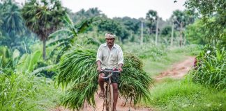 Show Goes On – Amity Conducts Webinar, Focuses On Farmers Rights, Others Farmers Rights Act