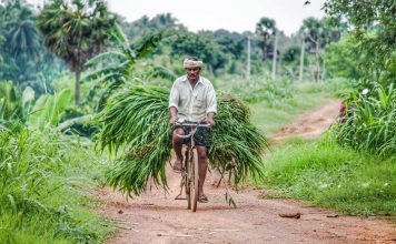 Show Goes On – Amity Conducts Webinar, Focuses On Farmers Rights, Others Farmers Rights Act