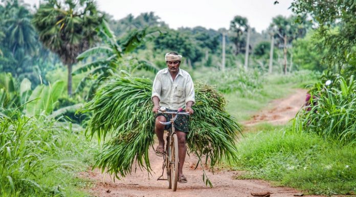 Show Goes On – Amity Conducts Webinar, Focuses On Farmers Rights, Others Farmers Rights Act