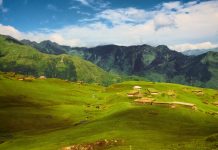 J&K MP’s Must Quit, Give Up Govt Perks To Show Seriousness Of Demand For Restoration of Statehood Grasslands - J&K