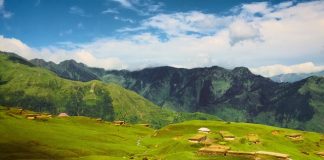 J&K MP’s Must Quit, Give Up Govt Perks To Show Seriousness Of Demand For Restoration of Statehood Grasslands - J&K