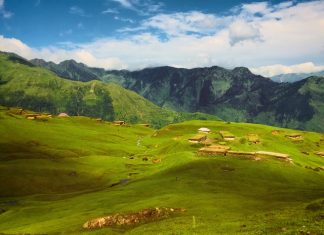 J&K MP’s Must Quit, Give Up Govt Perks To Show Seriousness Of Demand For Restoration of Statehood Grasslands - J&K