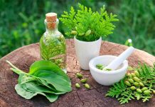 Future Of Herbal Medicine – A Way Forward Perspective Herbal medicine