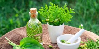 Future Of Herbal Medicine – A Way Forward Perspective Herbal medicine