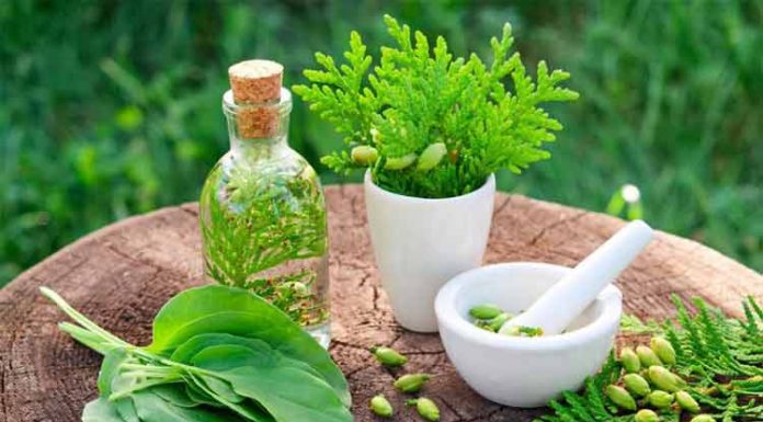Future Of Herbal Medicine – A Way Forward Perspective Herbal medicine
