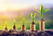 5 Financial Tips for Young Professionals Financial Tips For Young Professionals