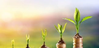 5 Financial Tips for Young Professionals Financial Tips For Young Professionals