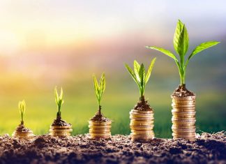 5 Financial Tips for Young Professionals Financial Tips For Young Professionals