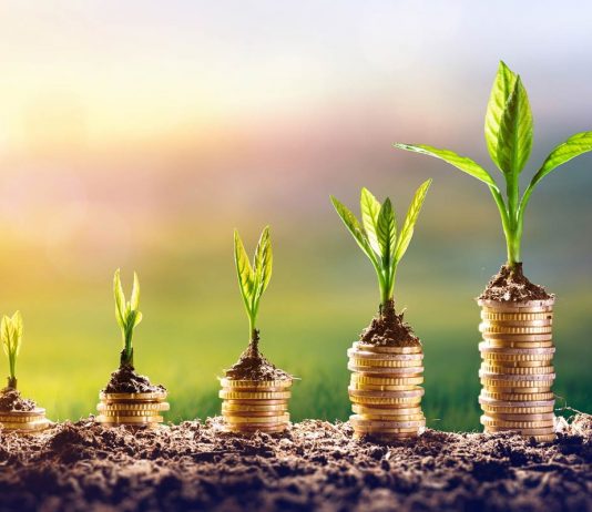 5 Financial Tips for Young Professionals Financial Tips For Young Professionals