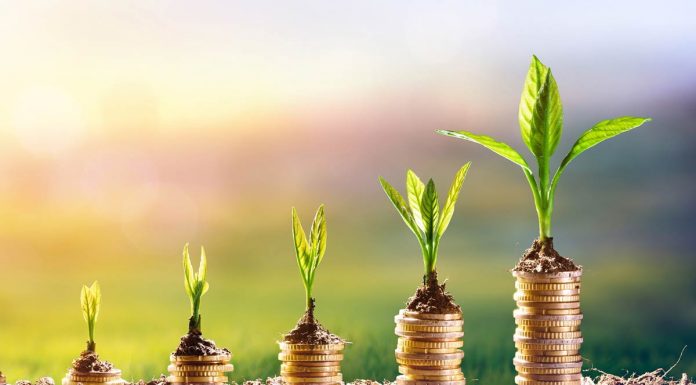 5 Financial Tips for Young Professionals Financial Tips For Young Professionals