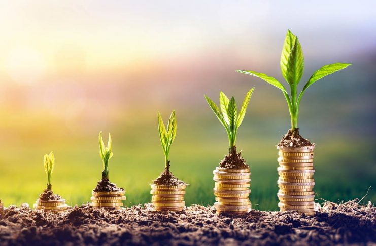 Financial Tips For Young Professionals