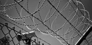 When Fascists Brood on Democracy! When Fascists Brood on Democracy