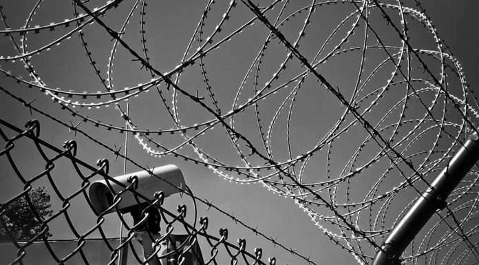 When Fascists Brood on Democracy! When Fascists Brood on Democracy