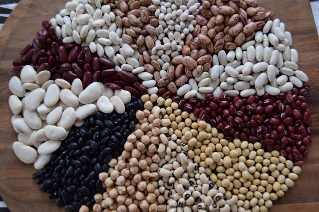 Beans Good for Celeac disease patients