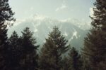 Whither The Interests Of Kashmiri Pundits As J&K Land Laws Get Rewritten J&K Land Laws