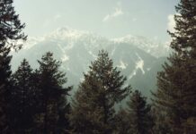 Whither The Interests Of Kashmiri Pundits As J&K Land Laws Get Rewritten J&K Land Laws