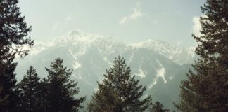 Whither The Interests Of Kashmiri Pundits As J&K Land Laws Get Rewritten J&K Land Laws