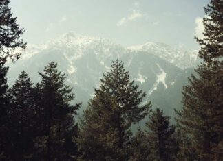 Whither The Interests Of Kashmiri Pundits As J&K Land Laws Get Rewritten J&K Land Laws