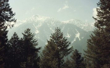 Whither The Interests Of Kashmiri Pundits As J&K Land Laws Get Rewritten J&K Land Laws