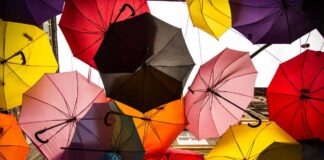 How To Get Health Insurance In Western Countries? Health Insurance in Western Countries