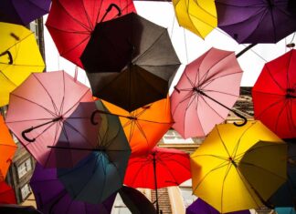 How To Get Health Insurance In Western Countries? Health Insurance in Western Countries