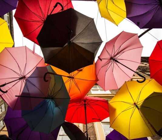 How To Get Health Insurance In Western Countries? Health Insurance in Western Countries