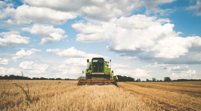 Policy Thrust On Scientific Solutions To Boost Rural Economy – Need Of The Hour Scientific solutions to boost rural economy