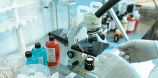 Mucormycosis Or Black Fungus Add To People’s Misery In India! What Is It? Mucormycosis or black fungus