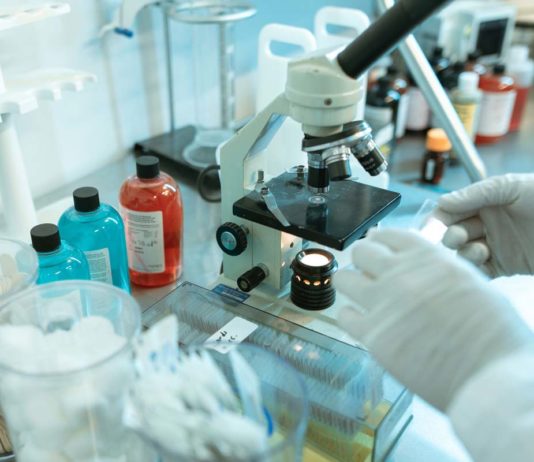 Mucormycosis Or Black Fungus Add To People’s Misery In India! What Is It? Mucormycosis or black fungus