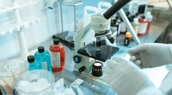 Mucormycosis Or Black Fungus Add To People’s Misery In India! What Is It? Mucormycosis or black fungus