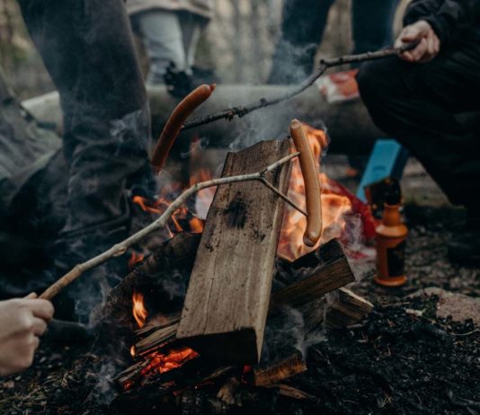 5 Must Have Snacks While Camping Out With Kids Must have snacks while camping